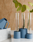 Blue watering can and planters with green plants on a wooden surface