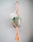 Mini Flourish Plant Hanger - Blush