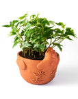 Rakshana Chicken Plant Pot - Terracotta