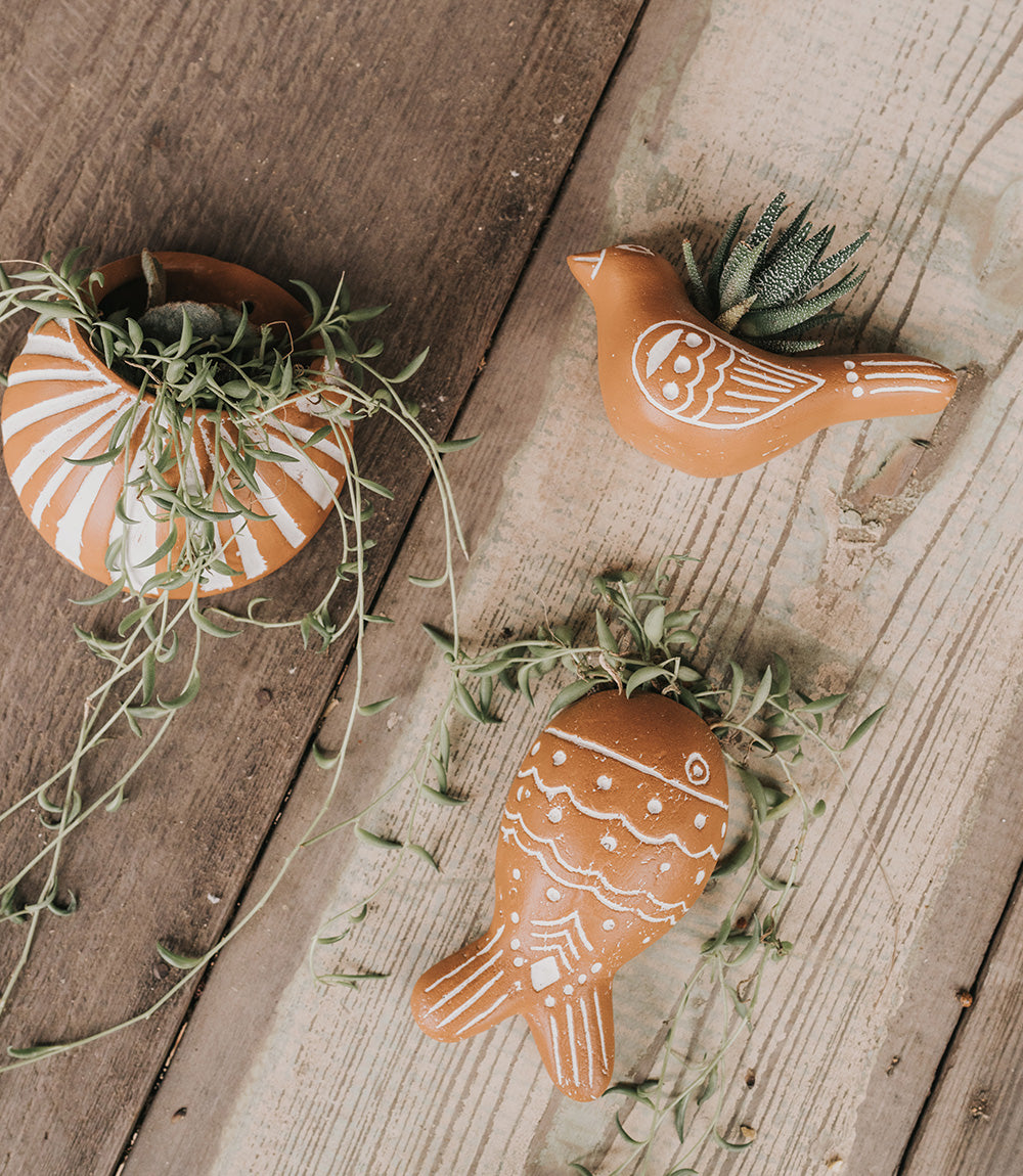 Three ceramic planters shaped like birds on a wooden surface.