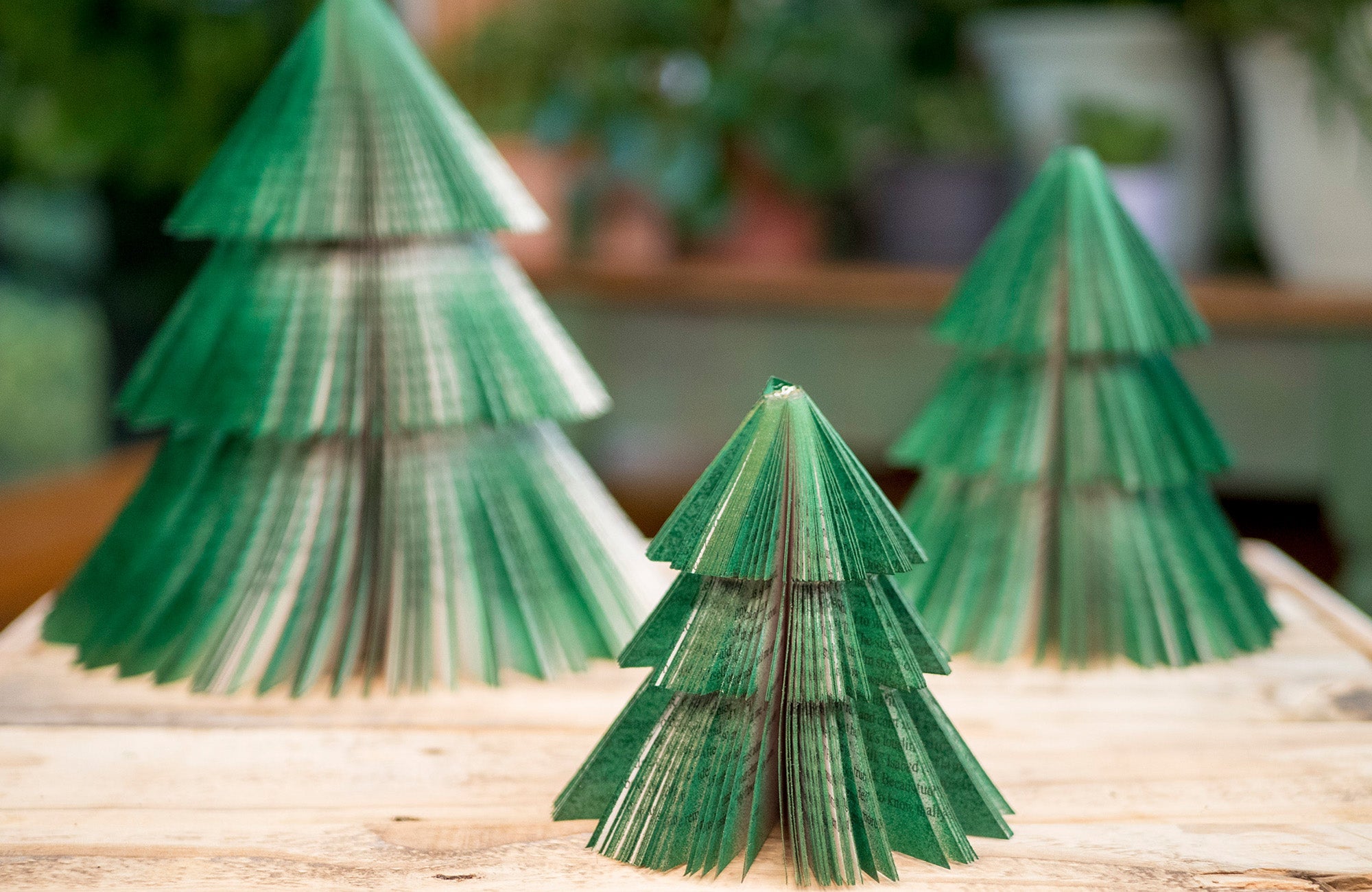 Book Trees - Set of 3