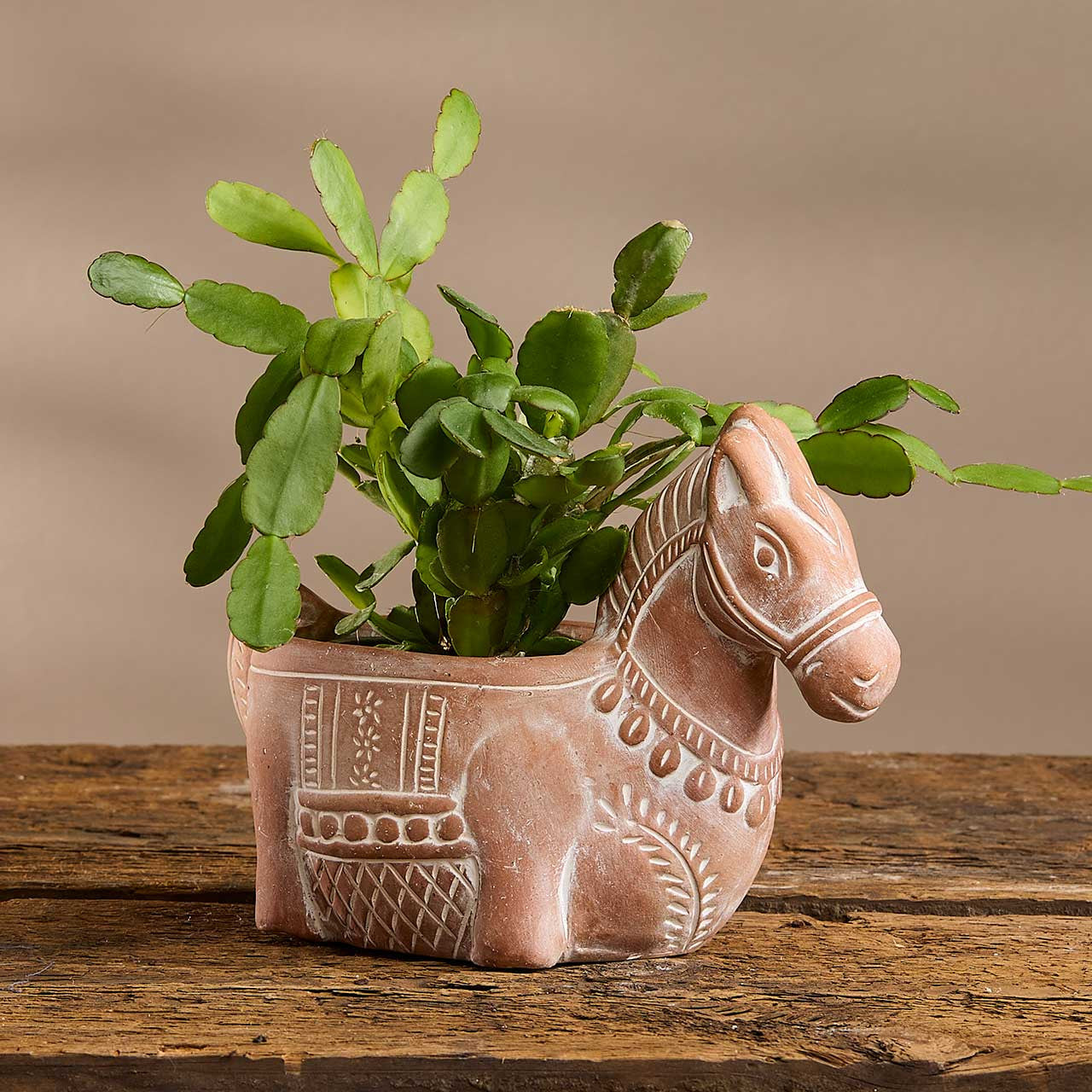 Ceramic donkey planter with a plant on a wooden surface