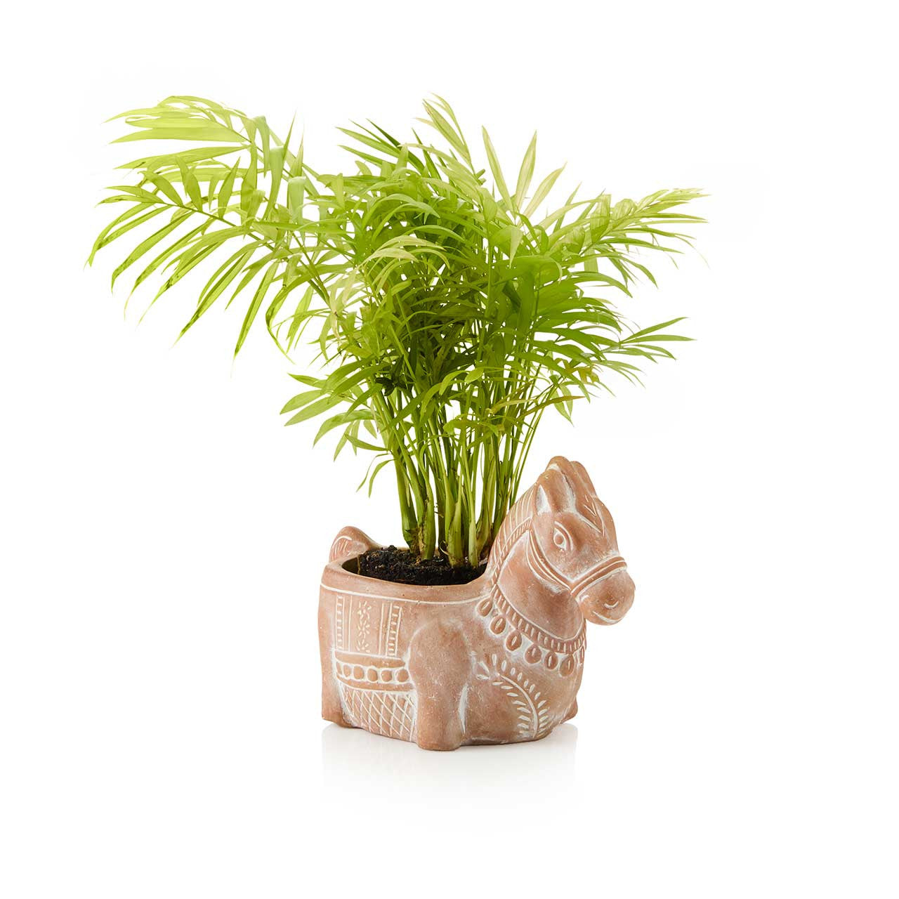 Terracotta Donkey Planter