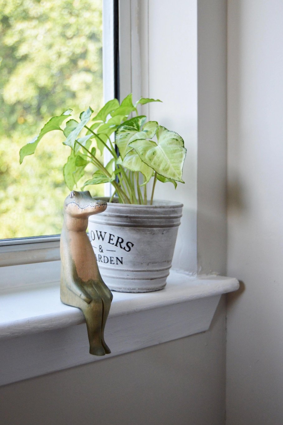Alligator shelf sitter on a windowsill next to a pot