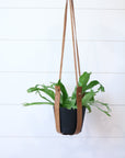 Large Flourish Leather Plant Hanger