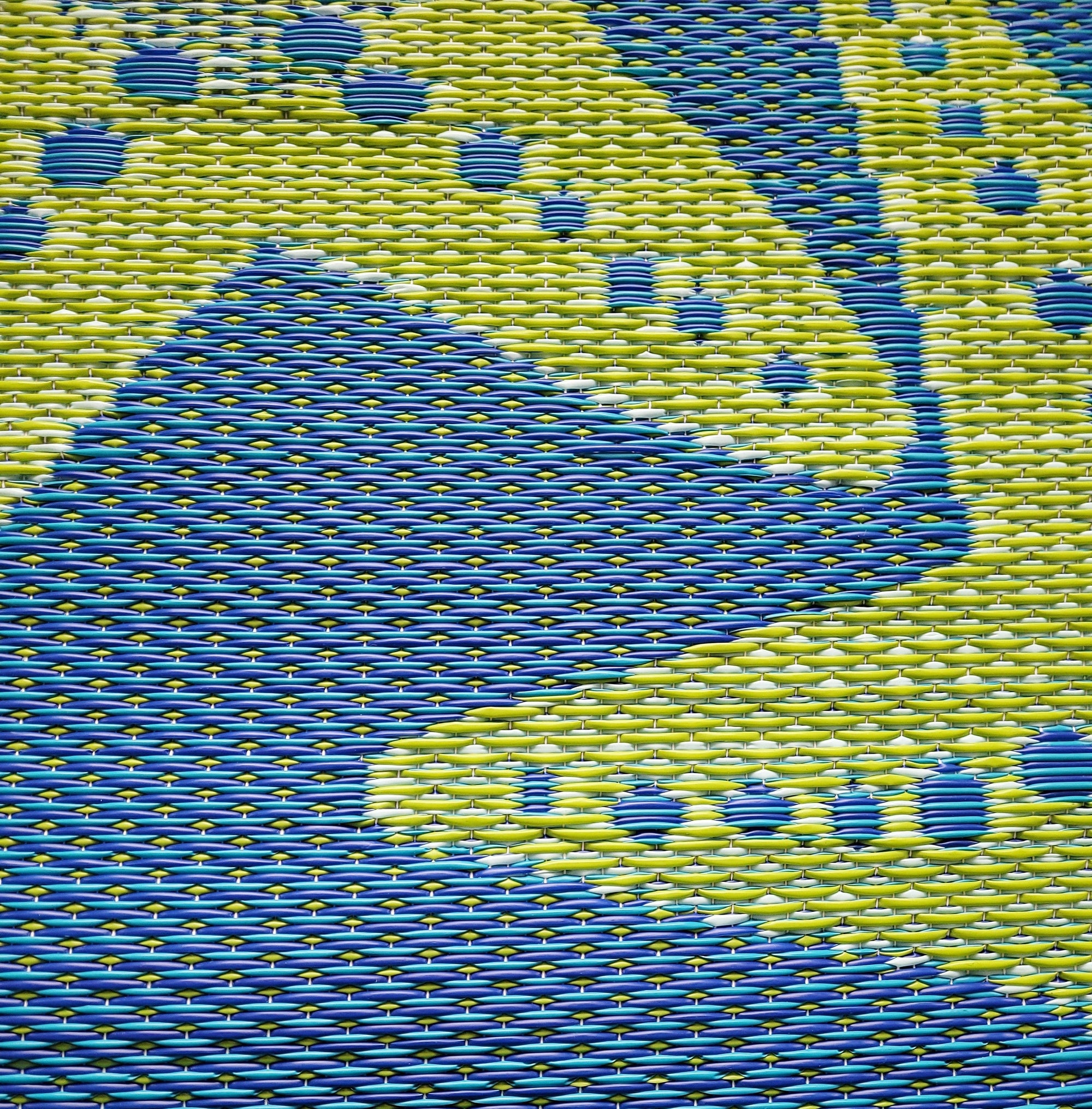 Starfish Blue &amp; Green