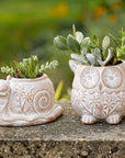 Snail Terracotta Planter With Drainage Hole