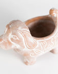 Terracotta Whitewashed Dog Planter