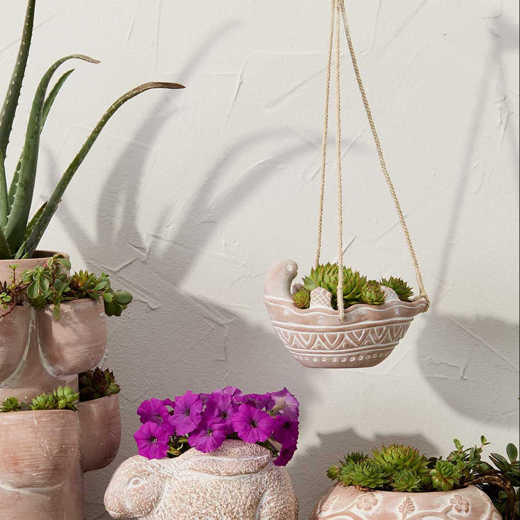 Collection of decorative ceramic planters with plants on a wooden surface.