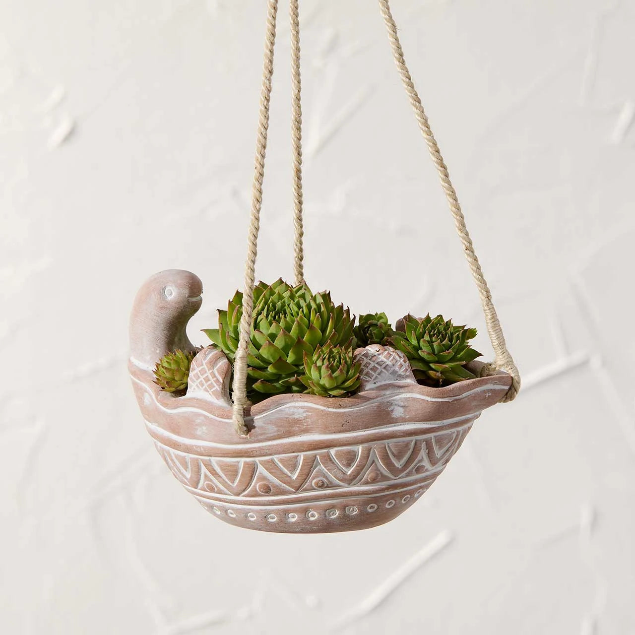 Hanging ceramic turtle design planter with succulents on a white background