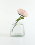 Clear glass vase with a single pink rose on a white background