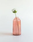 Pink glass vase with a white flower on a light gray background
