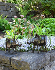 Zimbabwean Recycled Cook Pot Warthog Planters