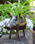 Zimbabwean Recycled Cook Pot Warthog Planters