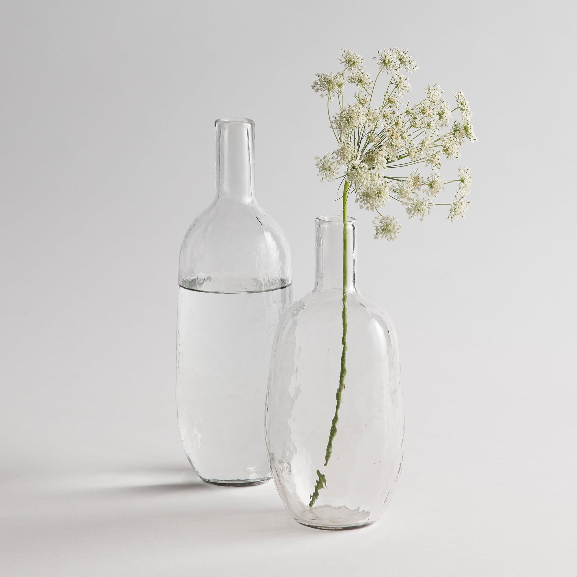 Two clear glass bottles with water and a single stem of flowers on a light gray background