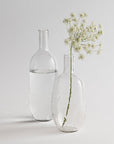 Two clear glass bottles with water and a single stem of flowers on a light gray background