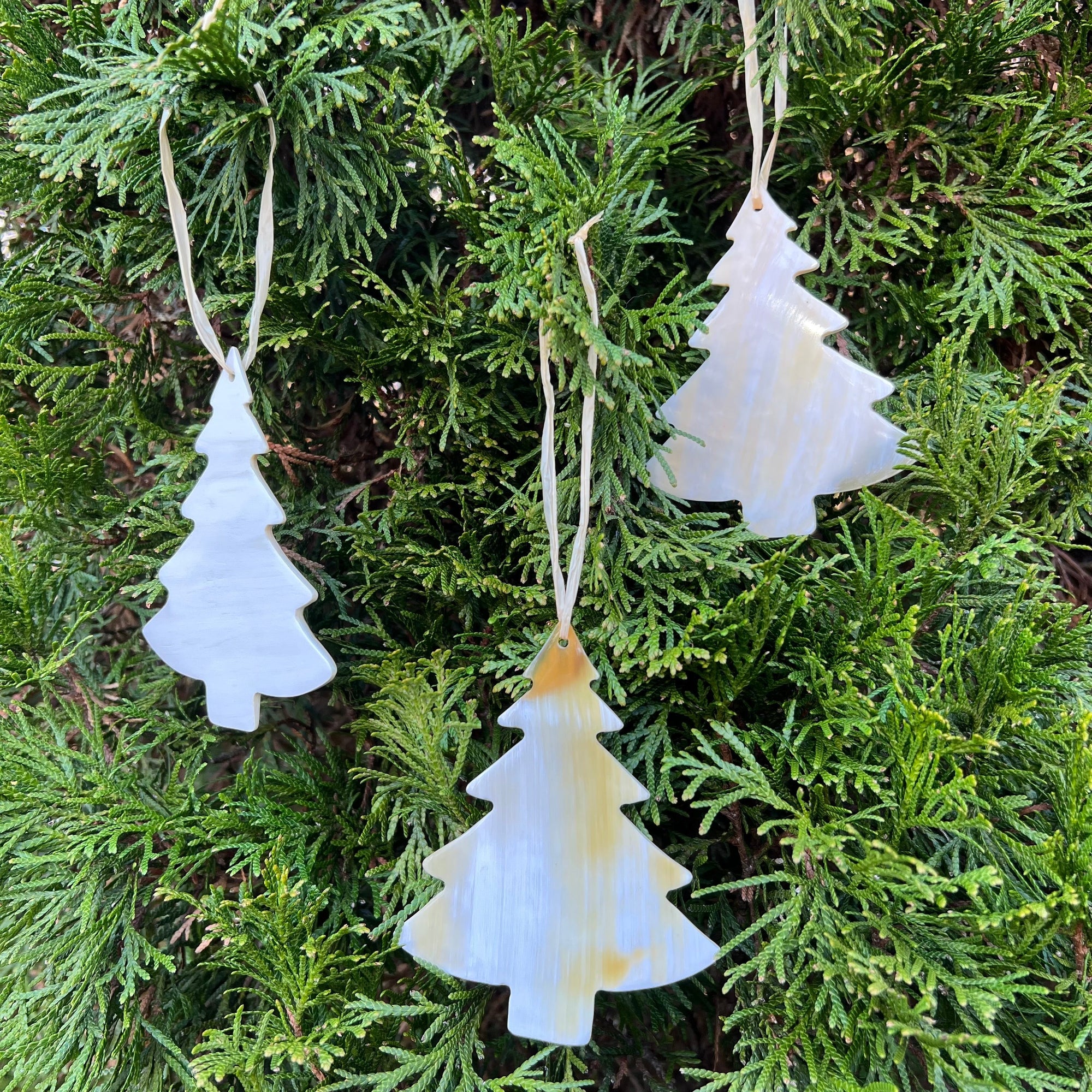 Three white tree-shaped ornaments hanging on a green bush