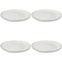 Grove Botanical Porcelain Dinner Plates – Set of 4
