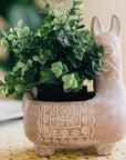 Ceramic cat-shaped planter with a green plant on a table