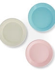 Enamel Two Tone Dinner Plate - Set of 4