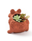 Rakshana Frog Plant Pot - Terracotta