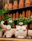 Llama Terracotta Planter