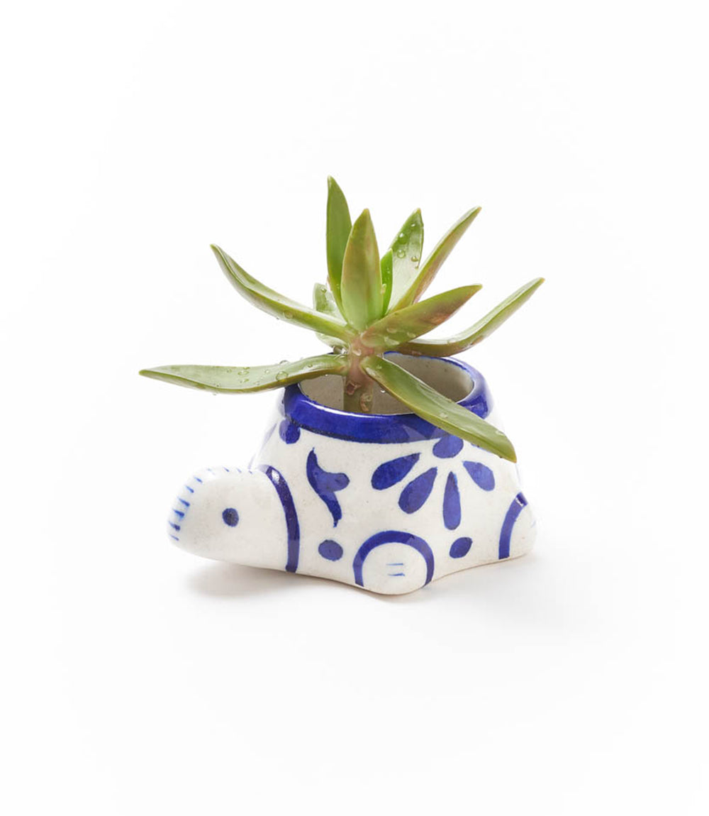 Lalita Baby Turtle Succulent Planter