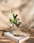 Floral Propogate Assorted - Set of 3