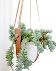 Small Flourish Plant Hanger
